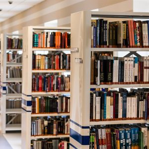 Basics In New Testament Counselling Ministry