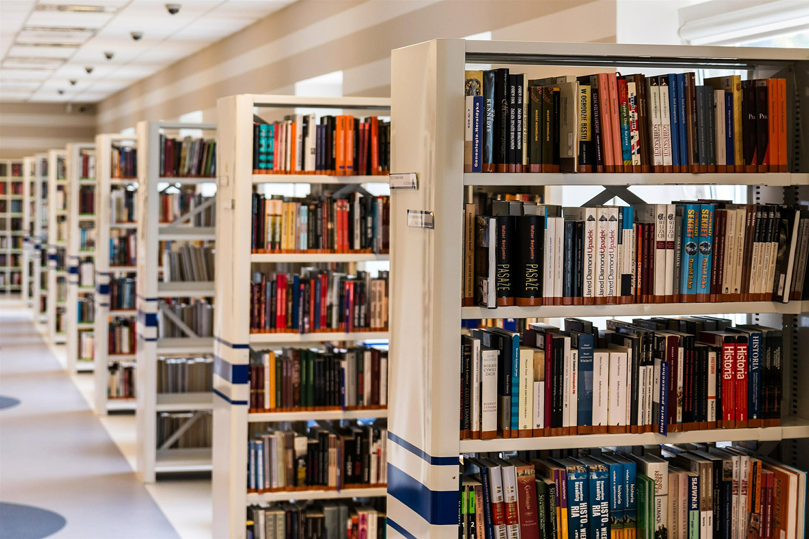 Basics In New Testament Counselling Ministry